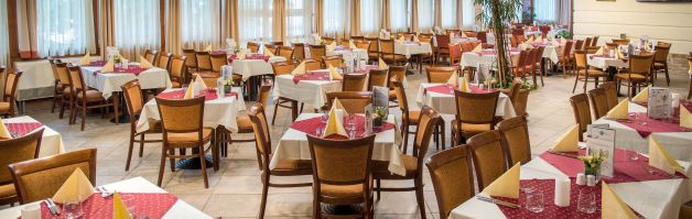 Hotel Palace Heviz