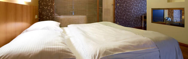 Spa Resort Lednice - lazenske a wellness pobyty