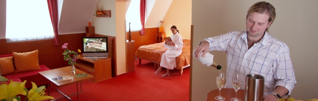 Wellness hotel Diana Velke Losiny - kvalitni wellness pobyty za vyborne ceny