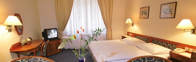 Dum Bedricha Smetany = luxusni hotel v luhacovickém lazenskem parku