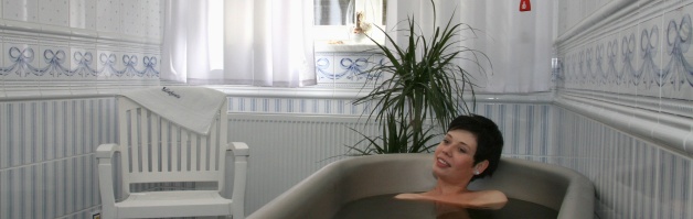 Karlovy Vary - wellness hotel Lafonte