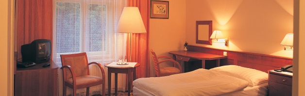 Hotel Palace Lazne Luhacovice - komplexni lazenske pobyty 
