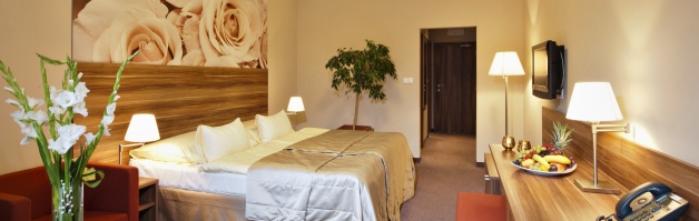 hotel velka fatra, turcianske teplice, lazne, wellness, lazenske pobyty, wellness pobyty