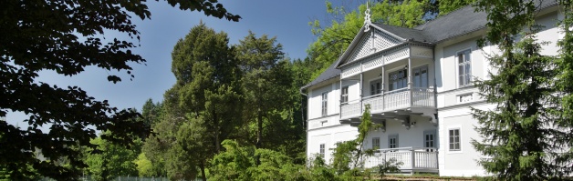 Vila Pod lipani Lazne Luhacovice - lazne a wellness